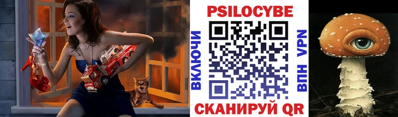 Псилоцибиновые грибы мицелий  Куйбышев 